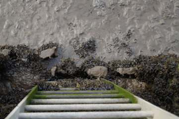 Harbour ladder