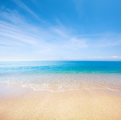 beach and tropical sea