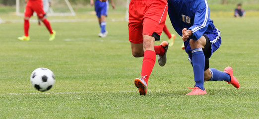 Fototapeta premium サッカー フットボール