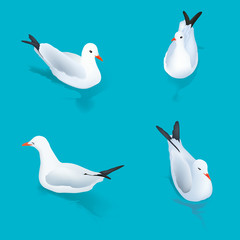 illustration set of seagulls on water