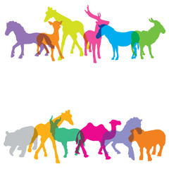 Colorful of silhouette animals, vector illustration