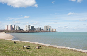 Lake Michigan Beach