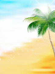 海　夏　風景　背景