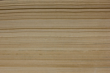 Fototapeta premium Macro view of book old vintage pages. Close-up shot