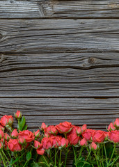 Fototapeta premium Top down view on rose bundle on wooden surface