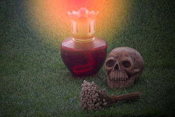 life has bright side and dark side / Still life of human skull and dry flower and lamp on green grass sign of death