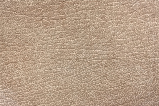 Leder textur natur