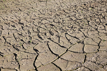 cracked earth close up  