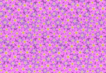 pink meadow flowers seamless vector pattern