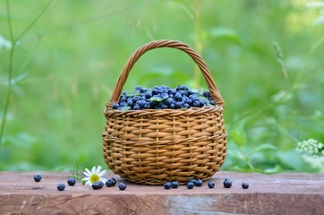 Fototapeta na wymiar blueberry in a basket horizontal