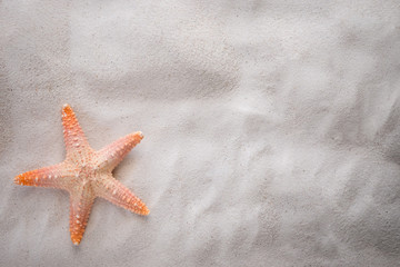 Fototapeta na wymiar starfish on the sand with copy space for summer concept