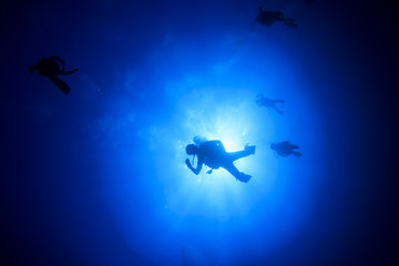 Obraz na płótnie Canvas Scuba diving
