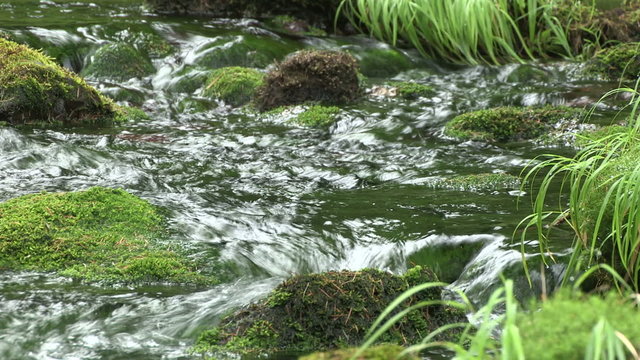 小川の流れ　清らかな清流の流れ
