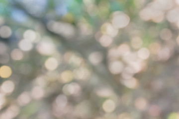 Obraz premium Colourful spark and blow WONDERFUL natural bokeh