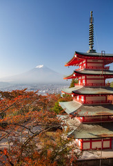 Chureito pagoda and Mountain Fuji with autumn leaves in the morning