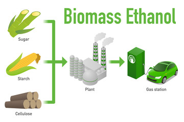 Biomass ethanol, made form Sugar, Starch, Cellulose,  diagram illustration