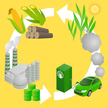  Biofuel life cycle, Biomass ethanol, diagram illustration
