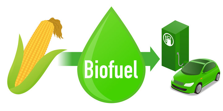 Biofuel: Biomass ethanol, made form corn, diagram illustration