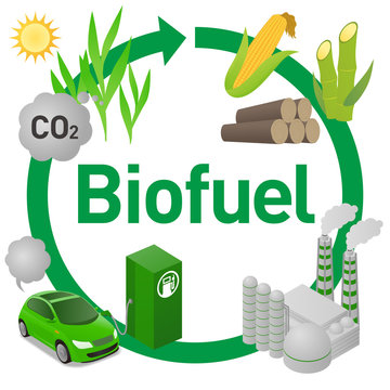  Biofuel life cycle, Biomass ethanol from corn, sugarcane, wood, diagram illustration