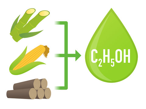 Biofuel: Biomass ethanol, made form Sugar, Starch, Cellulose,  diagram illustration