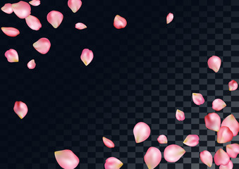 Abstract background with flying pink rose petals.