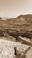 Negev Desert in Israel