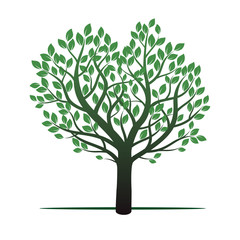 Fototapeta premium Green Tree and Leafs. Vector Illustration.
