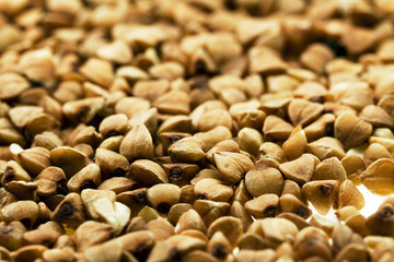 Photo agriculture, Europe  