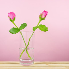 The beautiful roses flower with glass of water on wooden tray for Valentine' day.