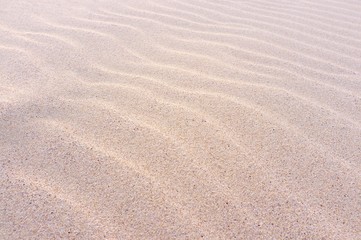 Fototapeta na wymiar wind ripples in dry beach sand background