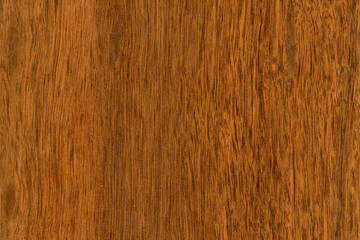 timber grain of Australian Jarrah, Eucalyptus marginata,