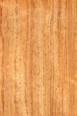 Naklejka premium timber grain of African Bubinga, Guibourtia demeusei, 