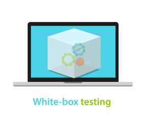 white box testing software application development process methodology