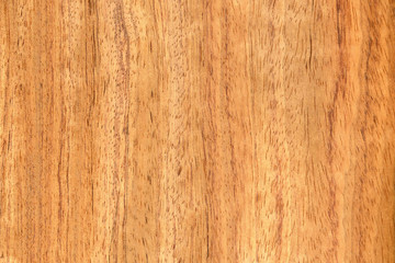 Fototapeta premium timber grain of African Bubinga, Guibourtia demeusei, 