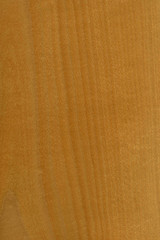 timber grain of Fagus sylvatica, European beech, 