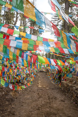 Naklejka premium Prayer flags on mountain