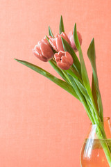 bouquet of flowers tulips in vase, copy space, pastel colors