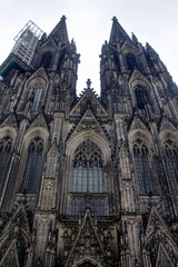 Fototapeta premium Cologne (Koln)