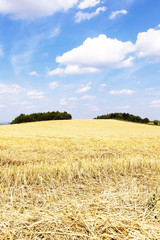 harvesting cereals,  Agriculture