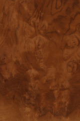 timber grain of walnut burr,