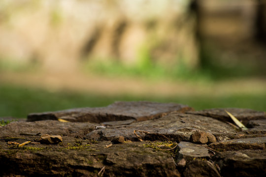 bokeh Fondo Desenfocado textura