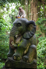 Fototapeta na wymiar Balinese long-tailed monkey sitting on the statue with banana in Monkey Forest Sanctuary, Ubud, Bali, Indonesia