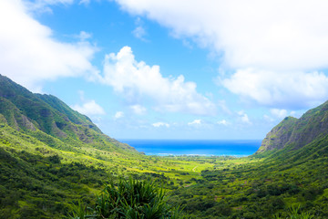 Hawaii island
