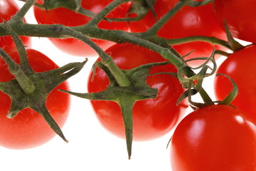 Pomidory czereśniowe