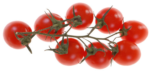 Pomidory czereśniowe