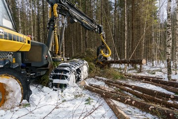 Image of logger cut down trees in winter forest