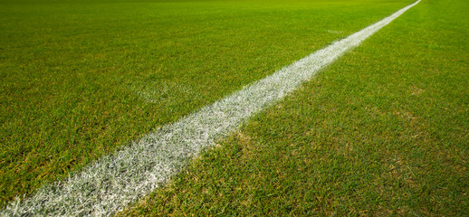 Line on green grass football field © nexusseven