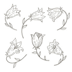 vector set of bell flowers