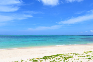 沖縄の美しいビーチとさわやかな空