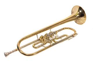 Obraz na płótnie Canvas schöne trompete